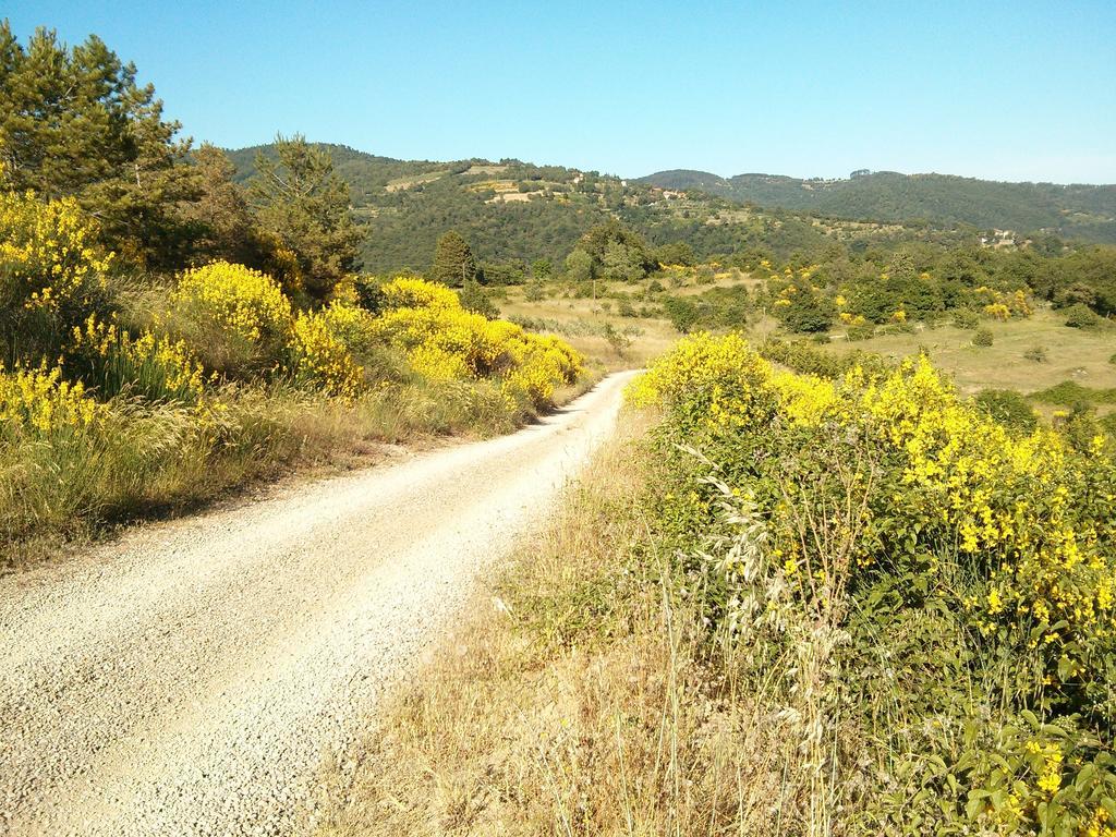 Forte Di Tregognano Chiaveretto Zimmer foto